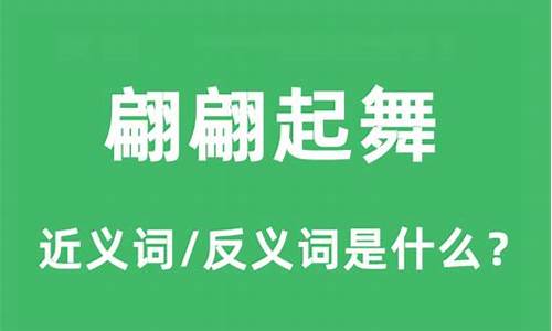 翩翩飞舞的近义词_翩翩舞姿的近义词