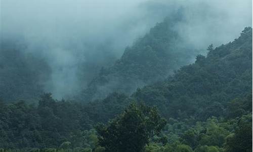 空山新雨后的下一句天气晚来秋_空山新雨后的下一句