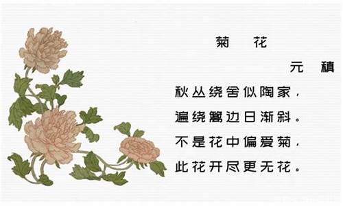 菊花 唐诗 元稹_唐诗菊花元稹