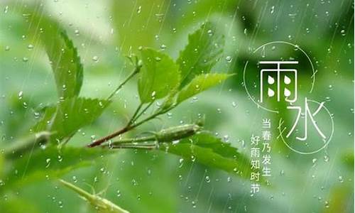 下雨天诗句唯美_下雨天诗句唯美相聚的句子